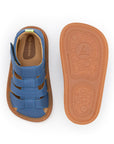Tip Toey Joey Sandy - Blue Tang - CLEARANCE