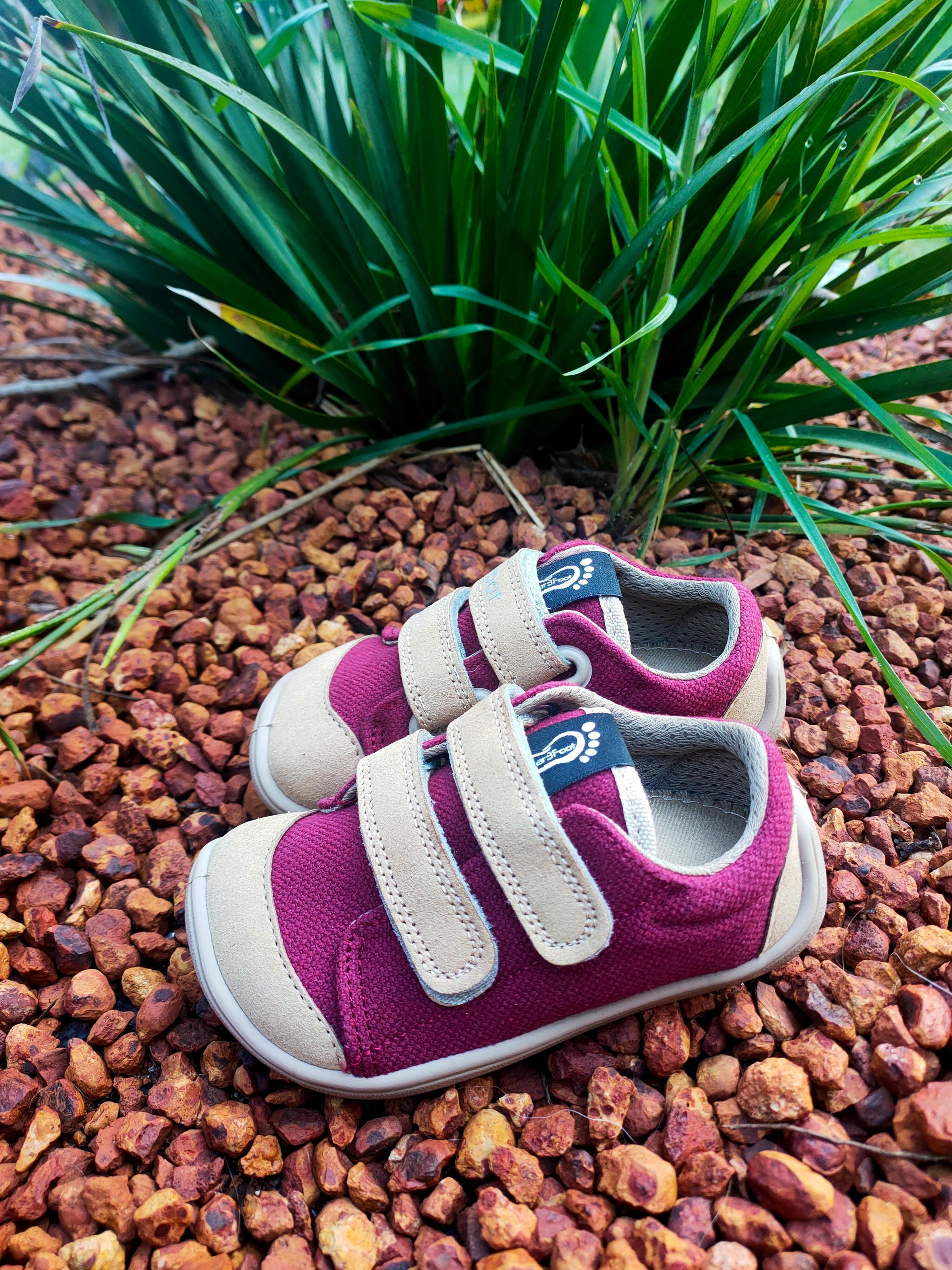 Bar3foot Elf Denver Maroon