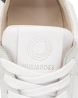 Mukishoes Lyra Cygnus