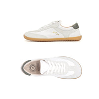 Mukishoes Lyra Cygnus