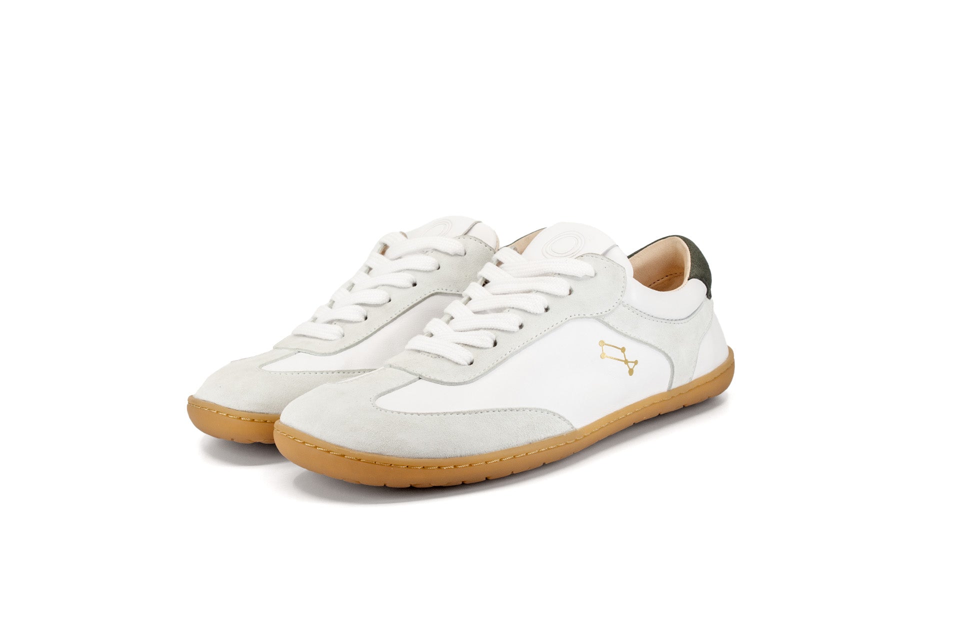 Mukishoes Lyra Cygnus