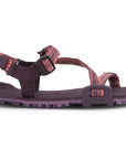 Xero Z‑Trail EV Barefoot Hiking Sandal - Women's