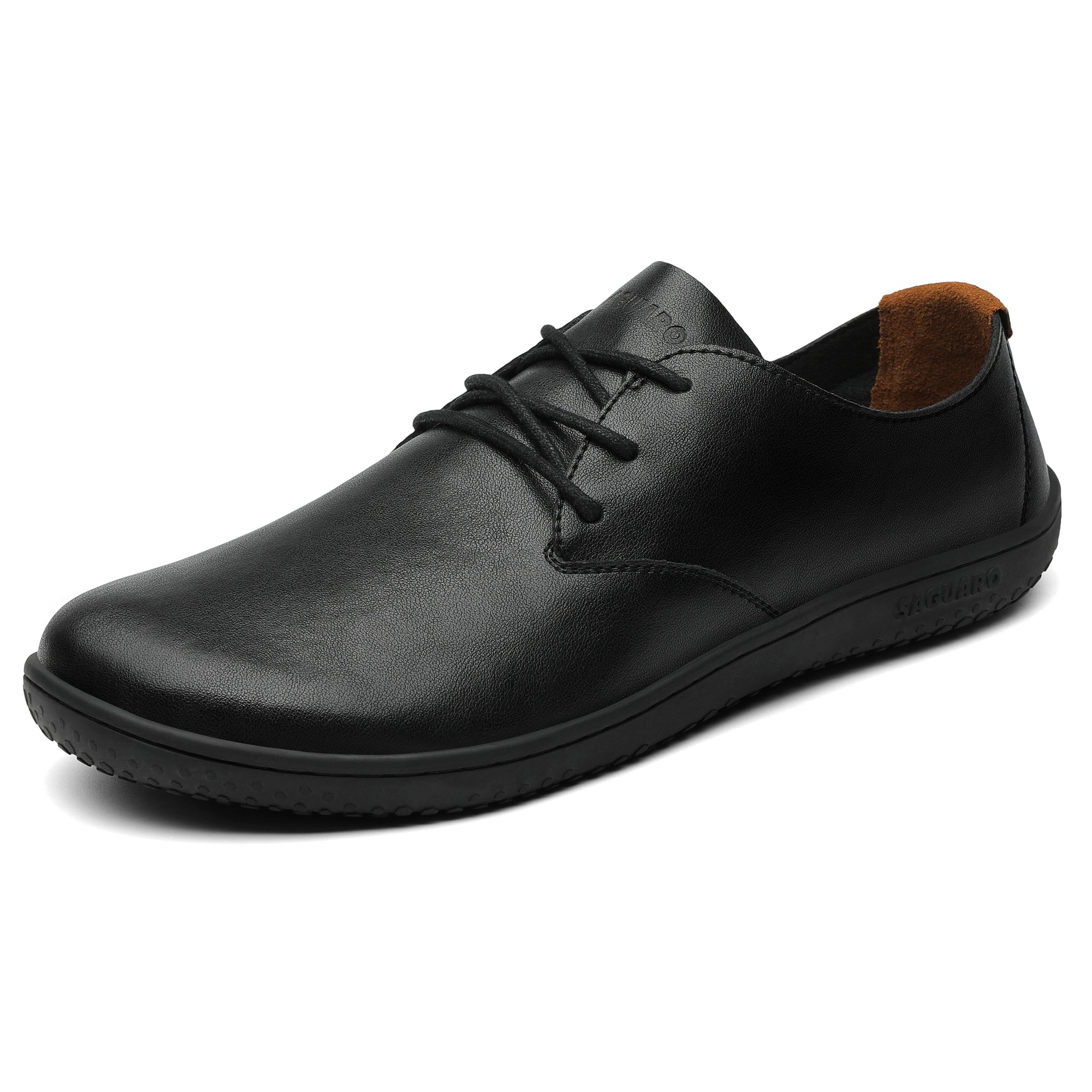 Saguaro Dream III Black