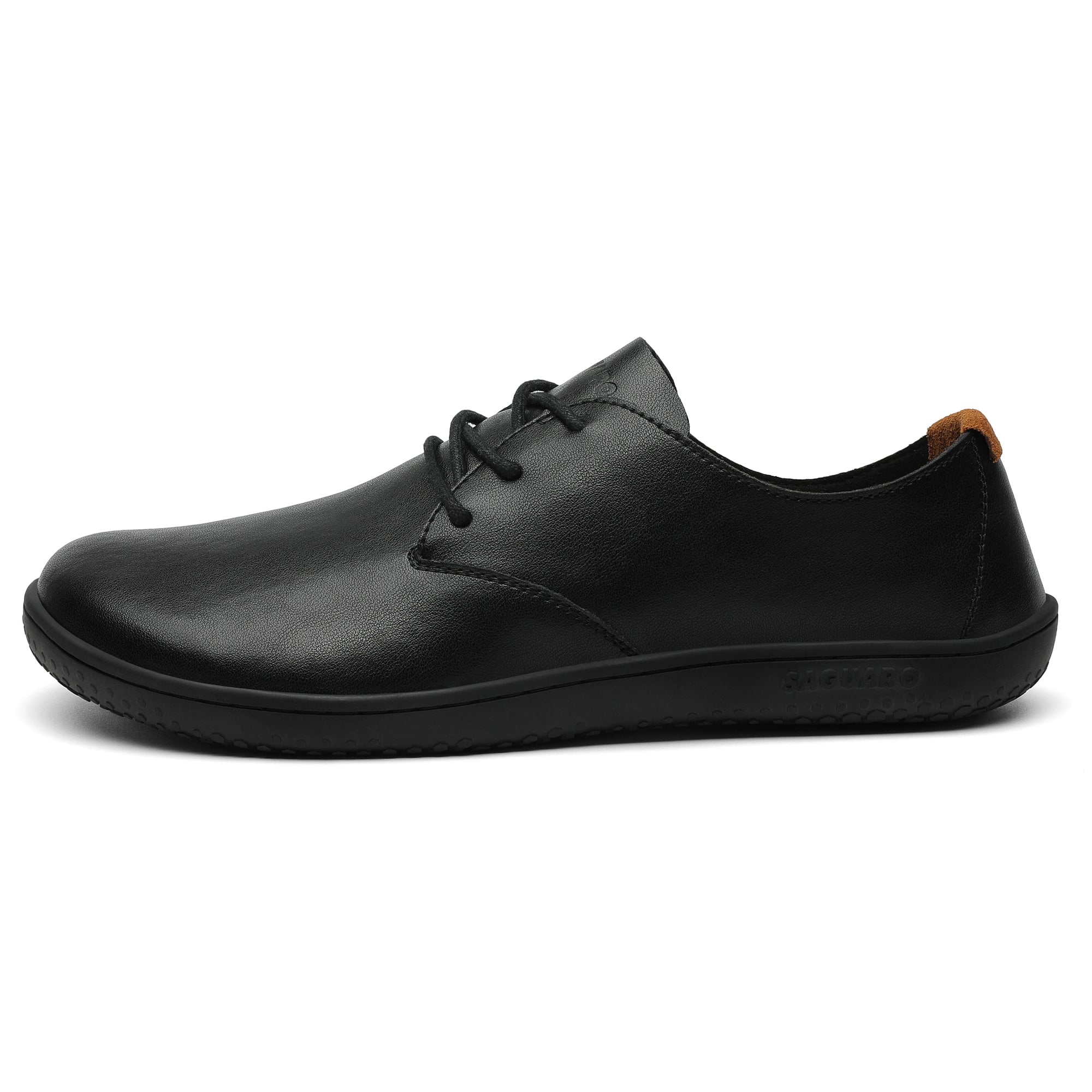 Saguaro Dream III Black