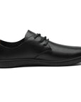 Saguaro Dream III Black