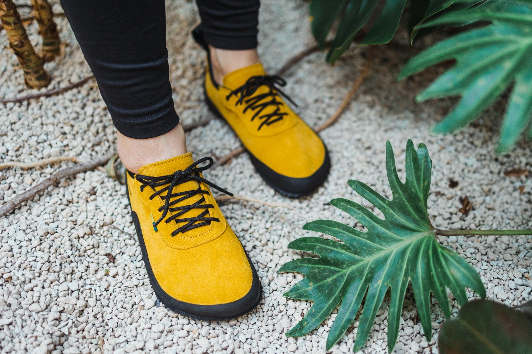 Be Lenka Trailwalker 2.0 Mustard CLEARANCE
