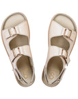 Shapen Dazzle Beige