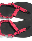 Xero H-Trail Women's - Raspberry