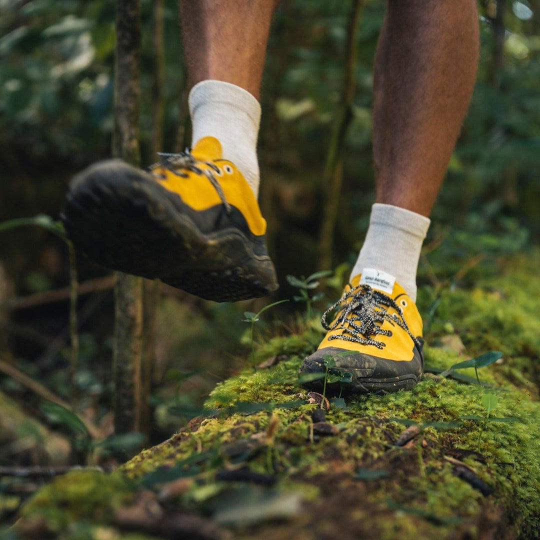 WILD Mustard Forest Wandering