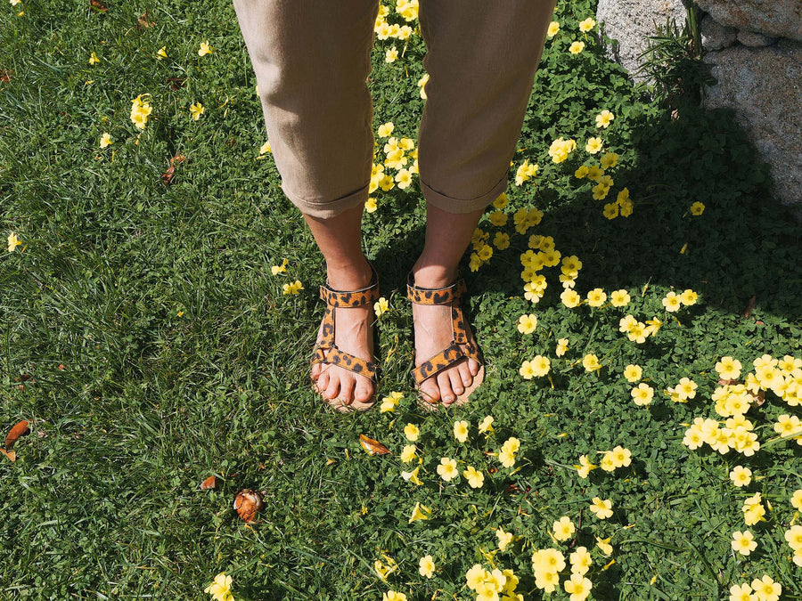 Mukishoes Solstice Leo