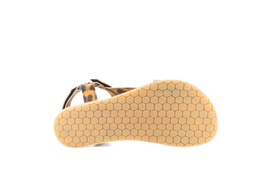 Mukishoes Solstice Leo
