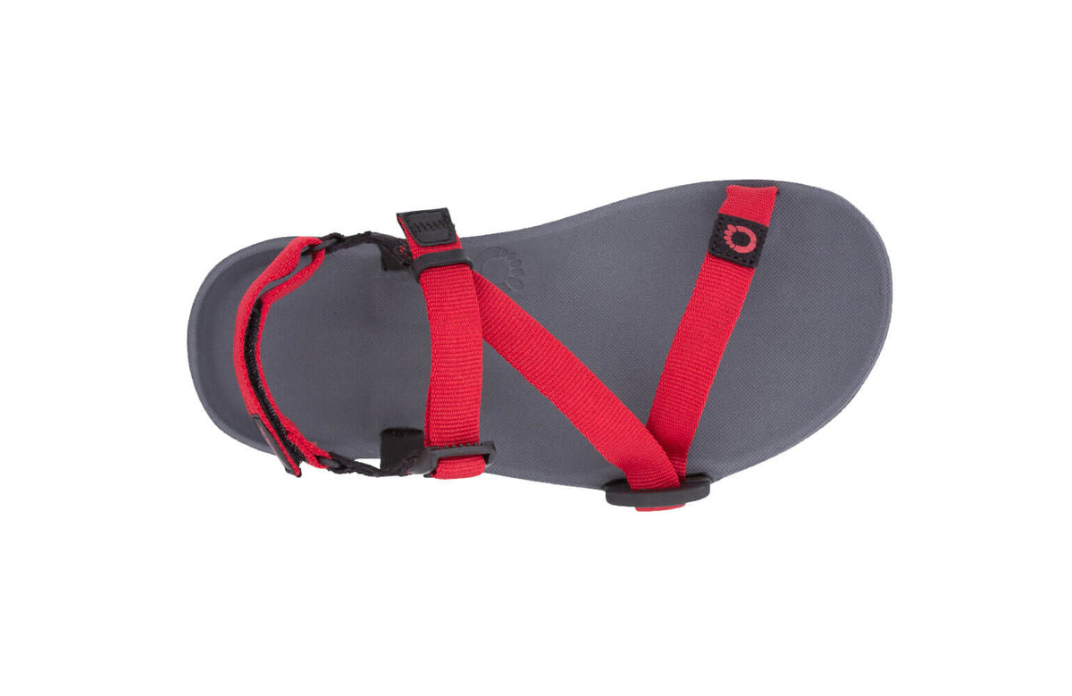 Xero Z-Trail - Kids Sandal