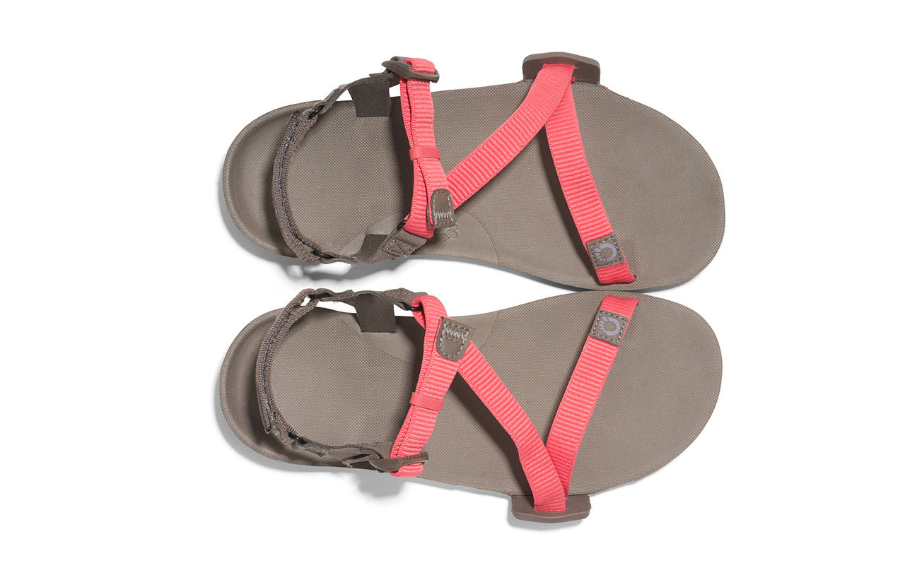 Xero Z‑Trail EV Barefoot Hiking Sandal - Women&#39;s