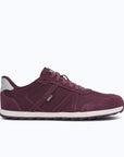 Xero Wynn Sneaker - Women