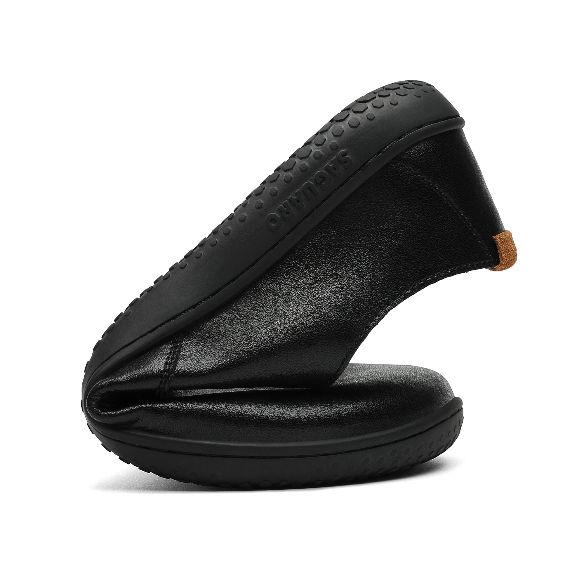 Saguaro Dream III Black