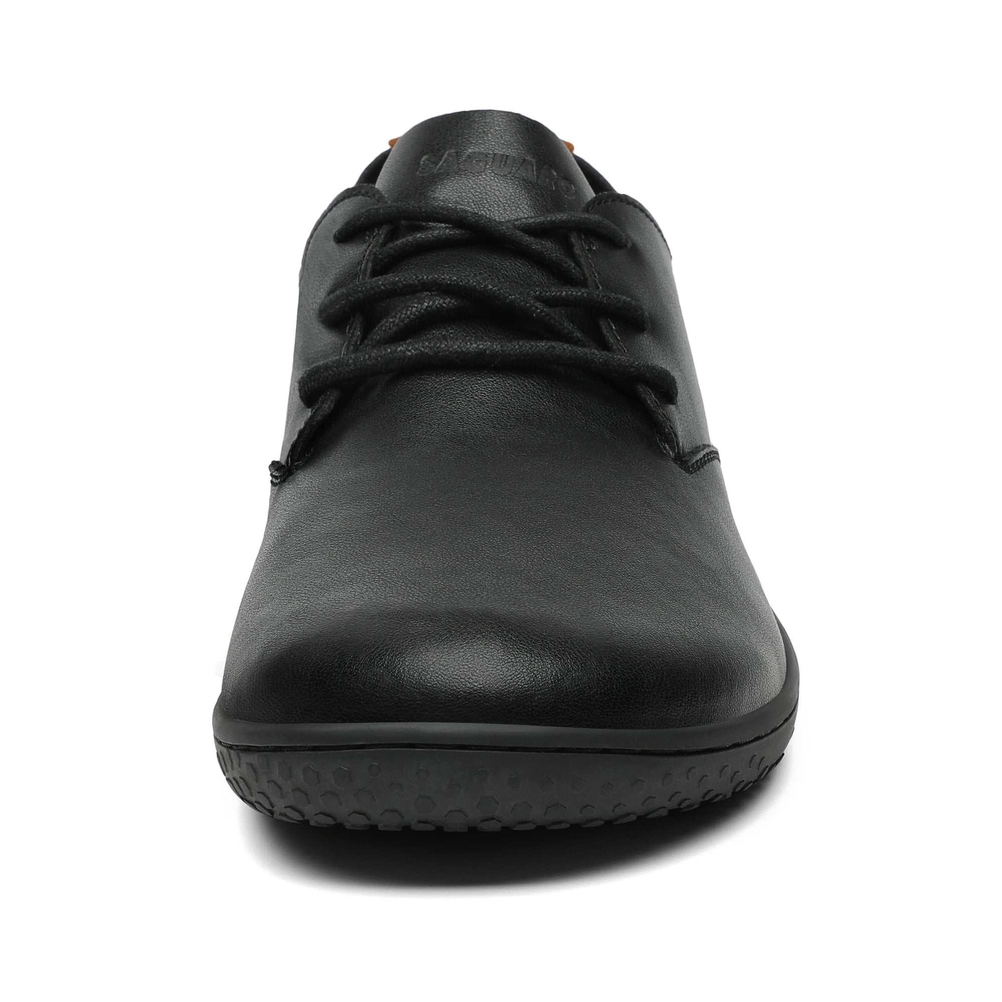 Saguaro Dream III Black
