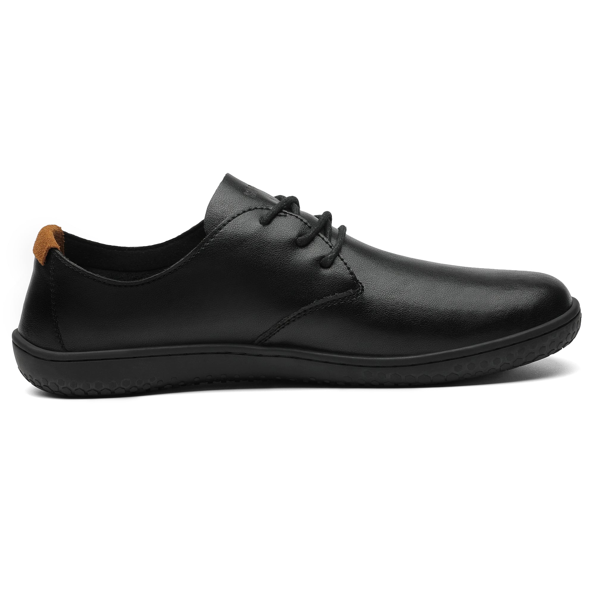 Saguaro Dream III Black