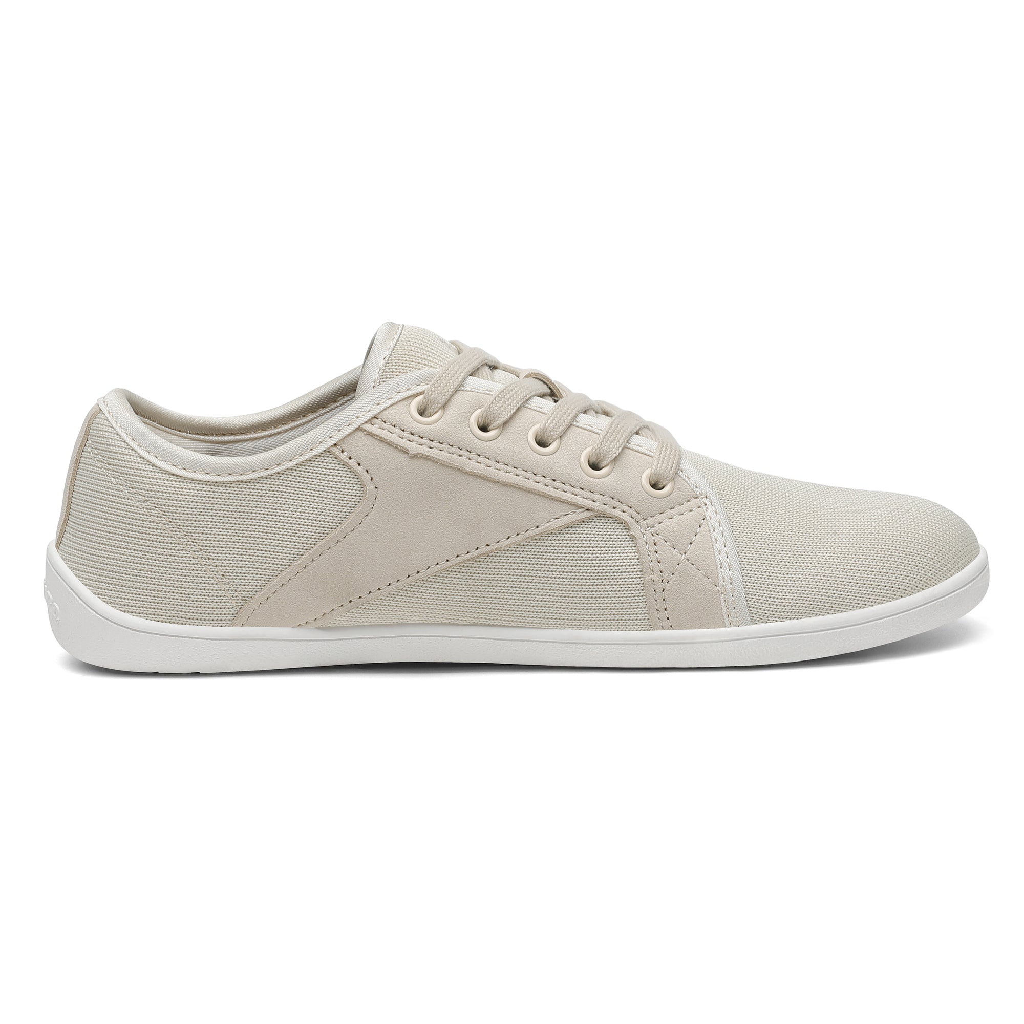 Saguaro Luck - Beige