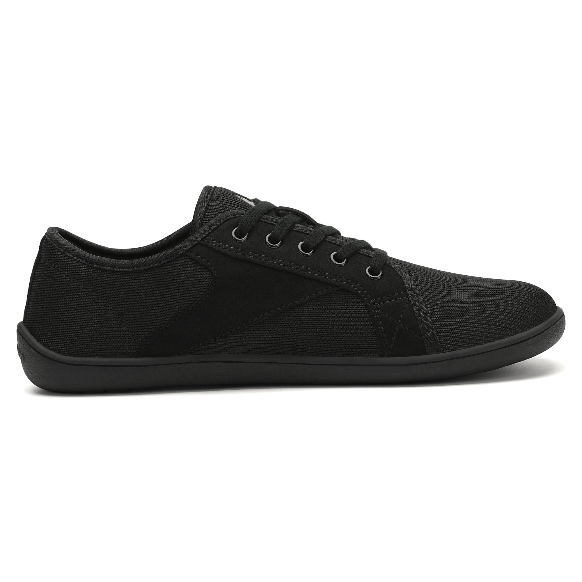 Saguaro Luck - Black