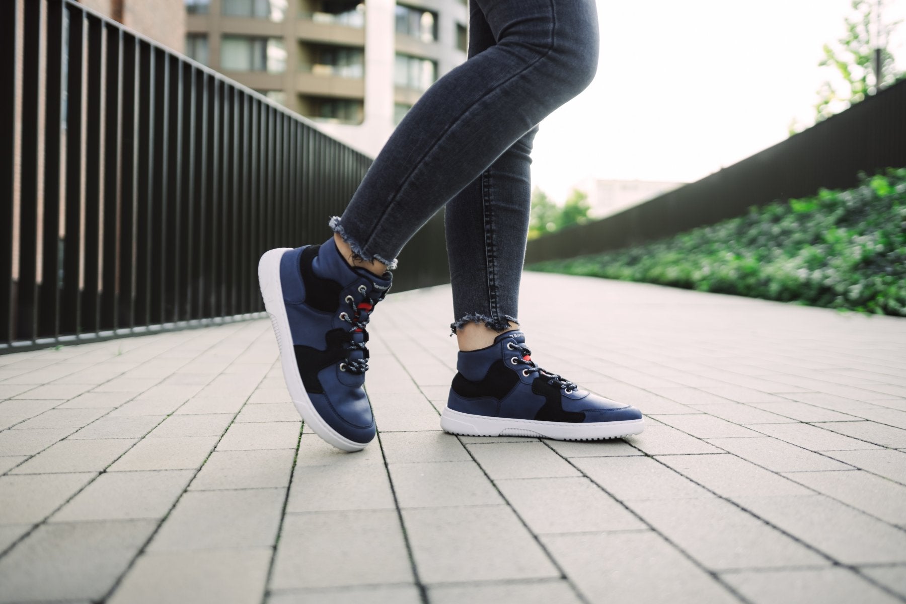 Barebarics Lynx Dark Blue &amp; White