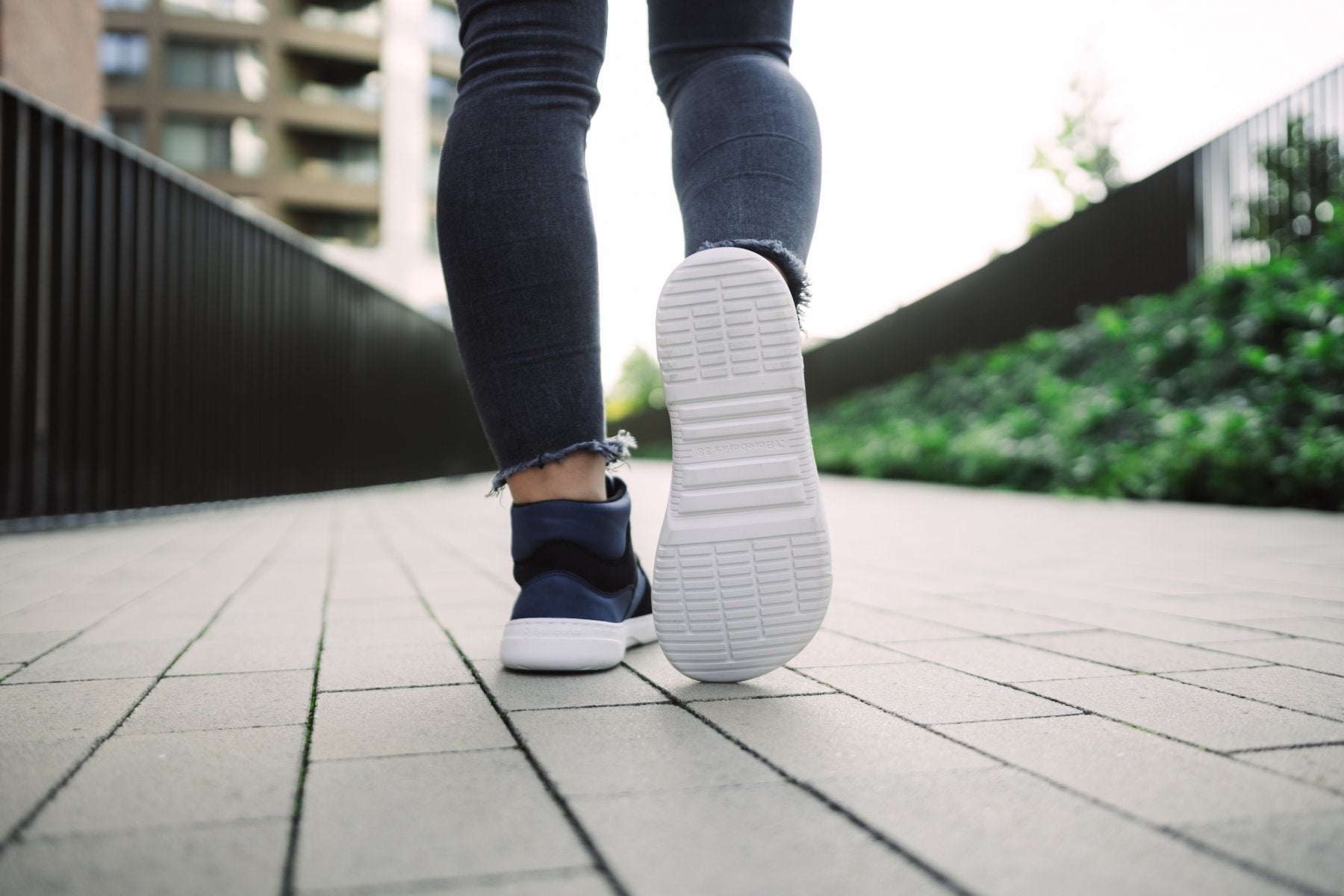 Barebarics Lynx Dark Blue &amp; White