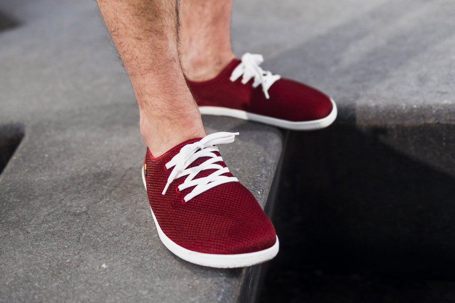 Be Lenka Dash Wine Red