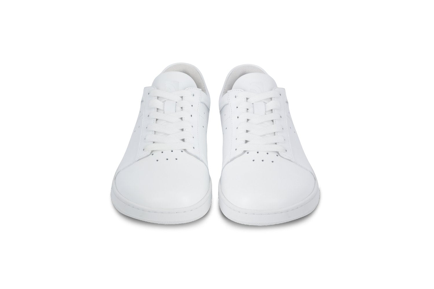 Barebarics Enigma All White
