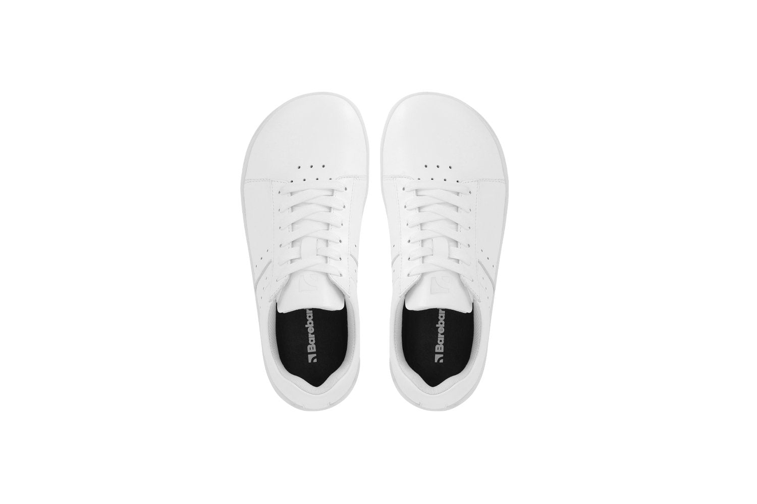 Barebarics Enigma All White