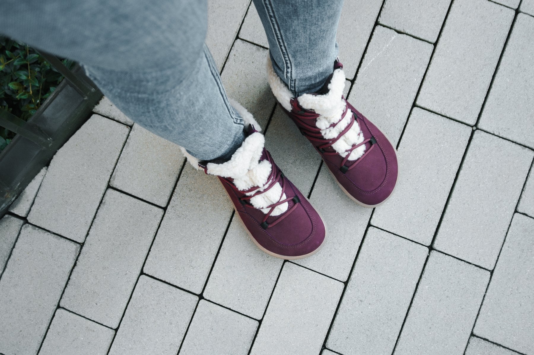 Be Lenka Bliss Burgundy Red